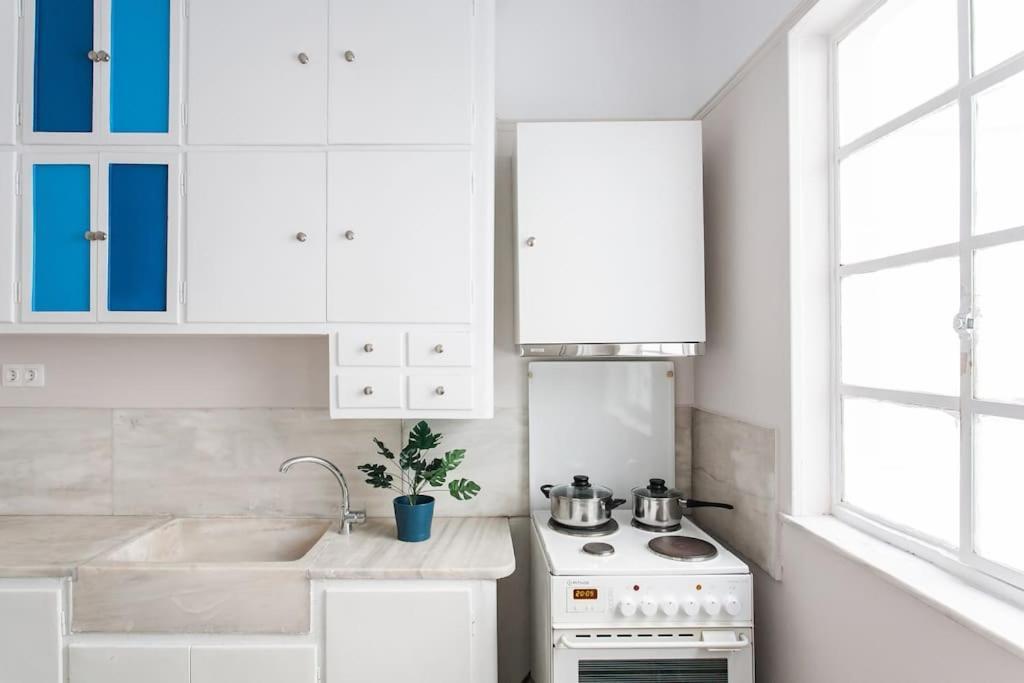 아테네 Splendid Full 5Bdr/3Bath/2Kitchens Mansion In Ath 아파트 외부 사진
