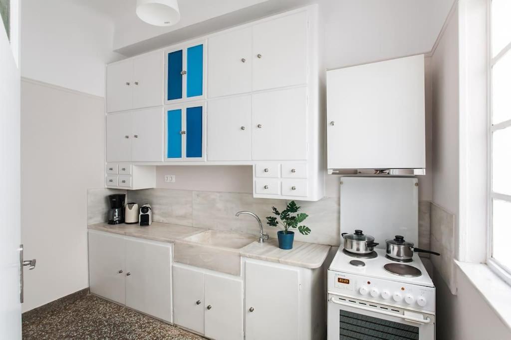 아테네 Splendid Full 5Bdr/3Bath/2Kitchens Mansion In Ath 아파트 외부 사진